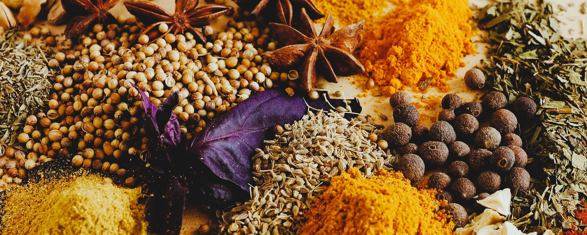 The Healing Wisdom of Ayurveda: Plunge into Summer Feeling Alive, Full of Wisdom and Bursting with Vitality!