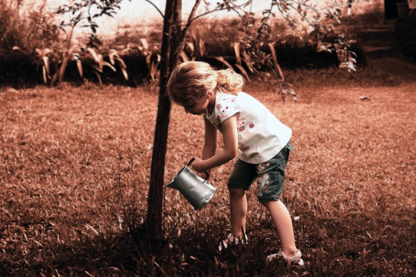 Reap What You Sow - New Moon in Virgo