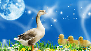Time To Get Your Ducks All Lined Up! New Moon in Leo
