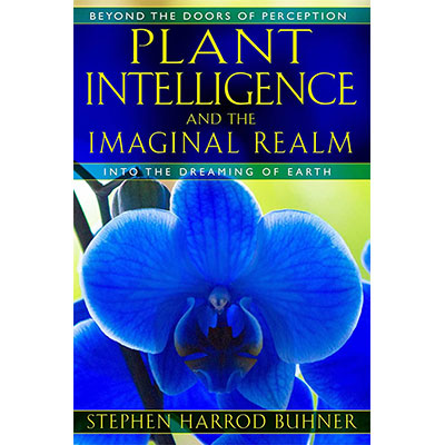 Plant Intelligence and the Imaginal Realm image 0