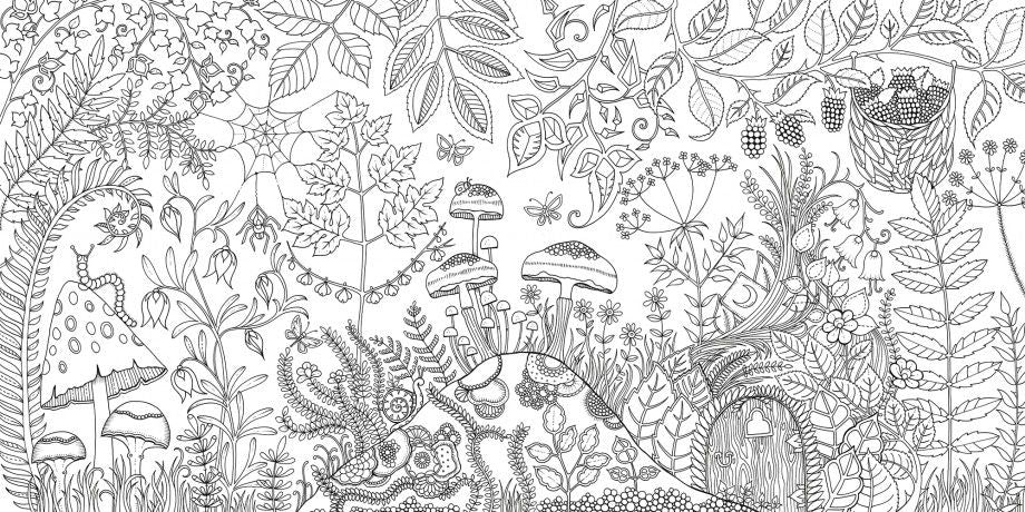 Enchanted Forest image 5