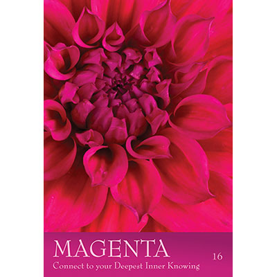 The Secret Language of Colour Cards image 8