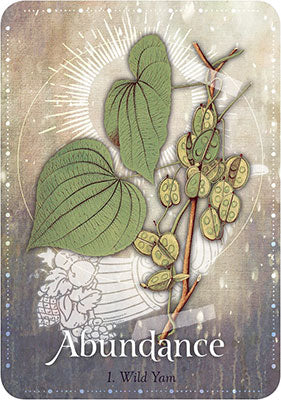Magickal Herb Oracle image 5