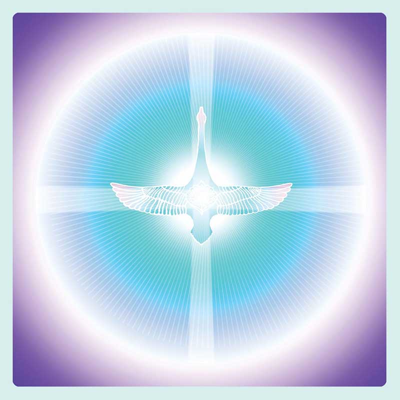Dimensions of Light image 4