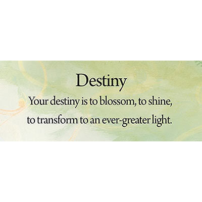 Healing Angel Cards image 4