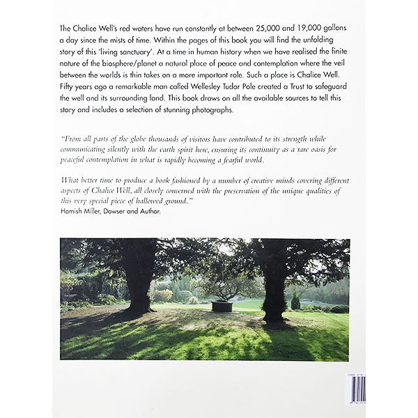 Chalice Well image 2
