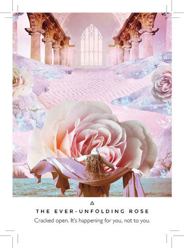 Work Your Light Oracle Cards image 6
