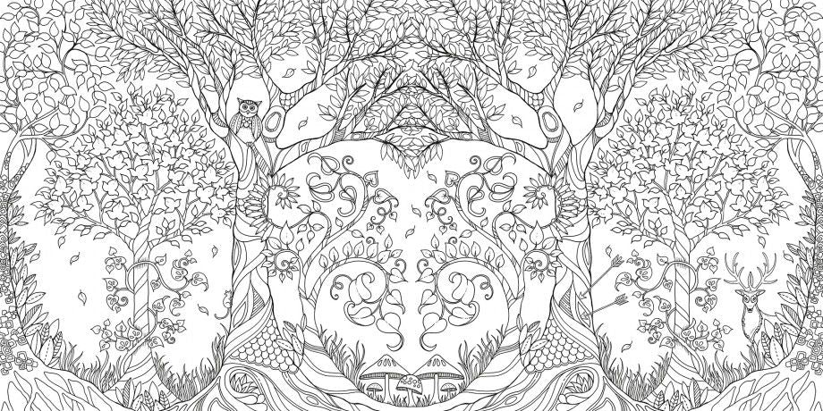 Enchanted Forest image 3