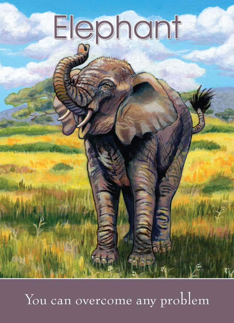 Children's Spirit Animal Cards image 4