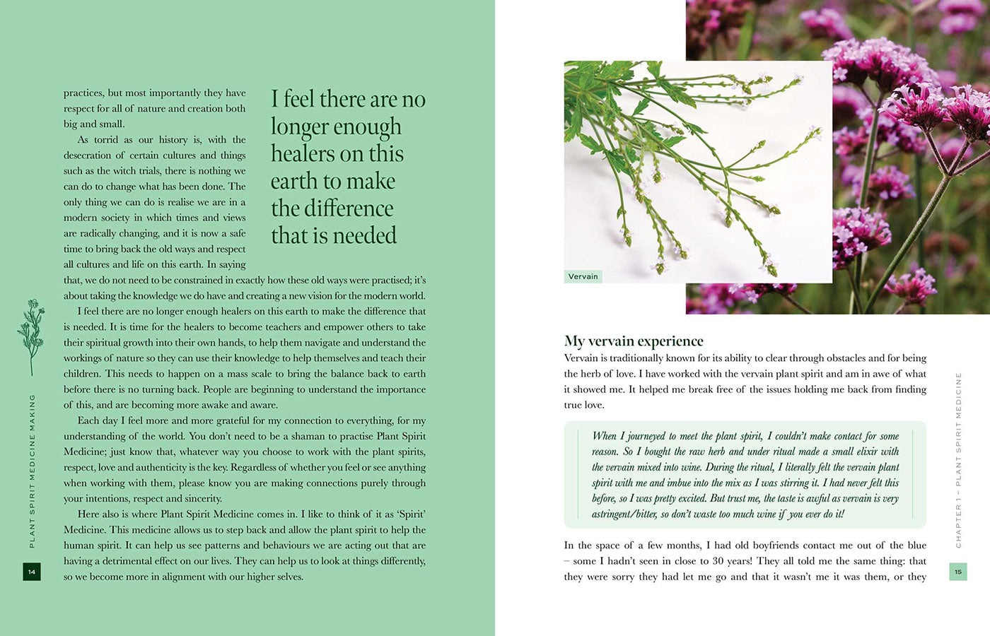 Plant Spirit Medicine image 4