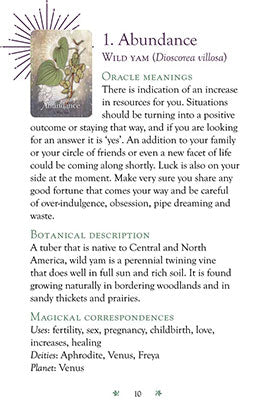 Magickal Herb Oracle image 3