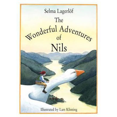 The Wonderful Adventures of Nils image 0