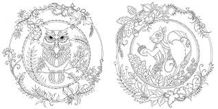 Enchanted Forest image 7