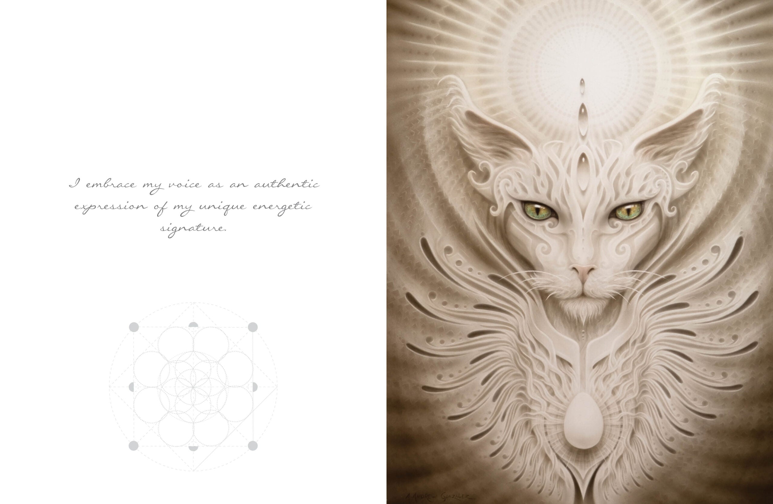 White Light Journal image 2