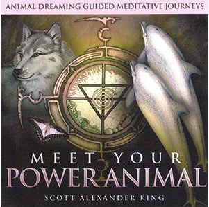 Meet your Power Animal