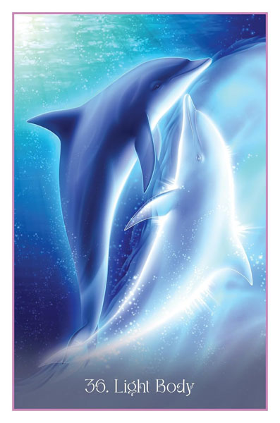 Whispers Of The Dolphin Heart image 6