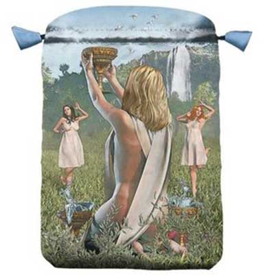Viceversa Tarot Bag image 0