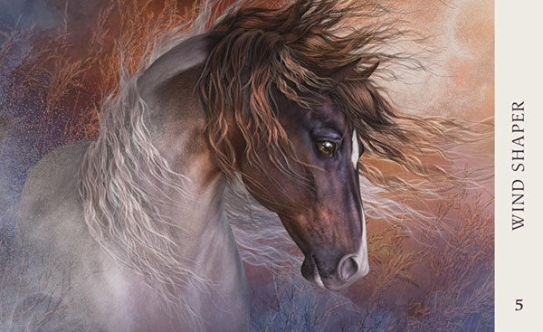 Horse Wisdom Oracle image 5