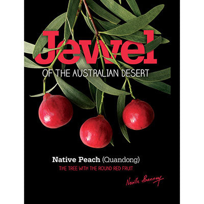 Jewel of the Australian Desert image 0