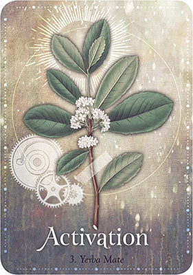 Magickal Herb Oracle image 1