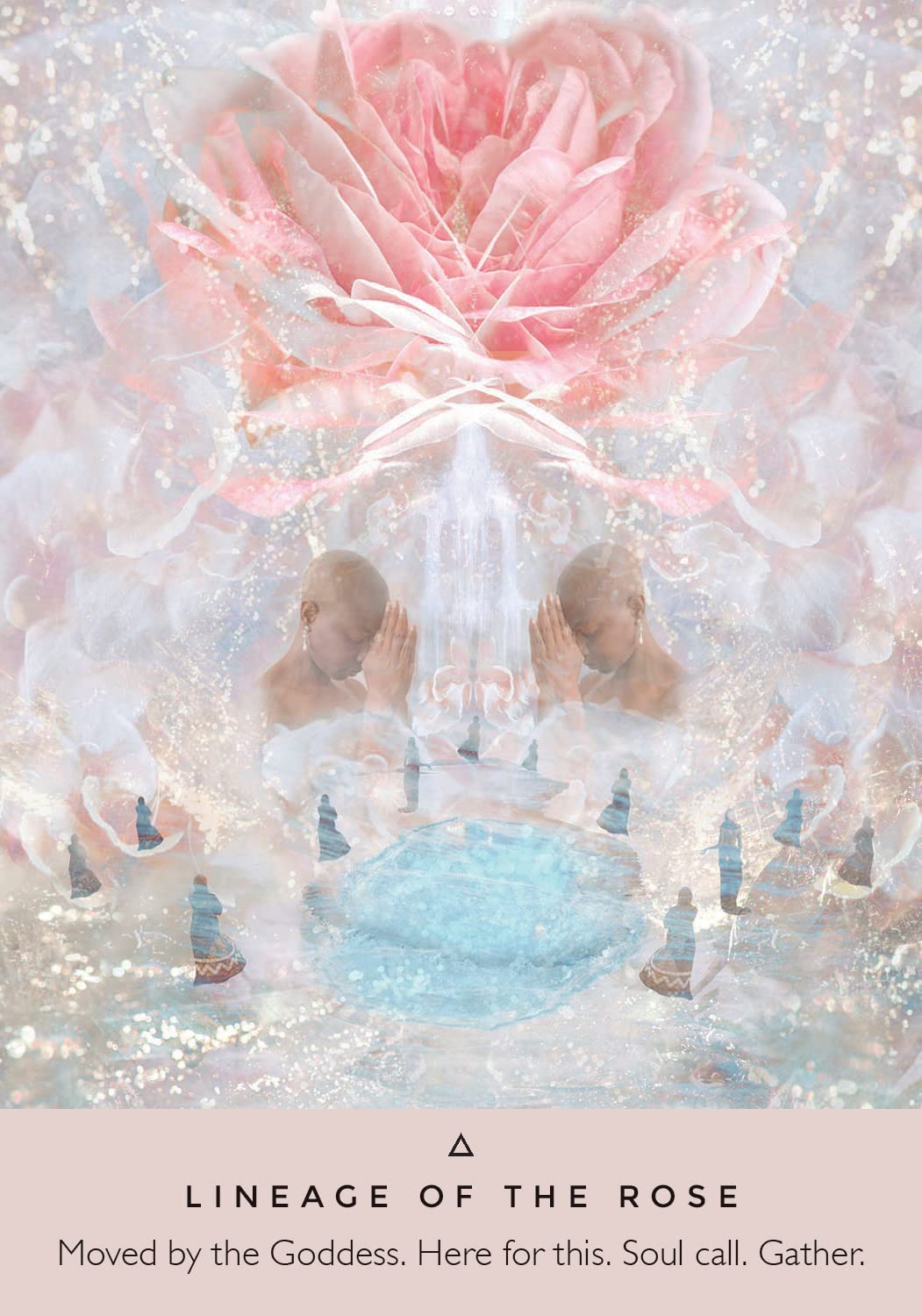 The Rose Oracle image 2