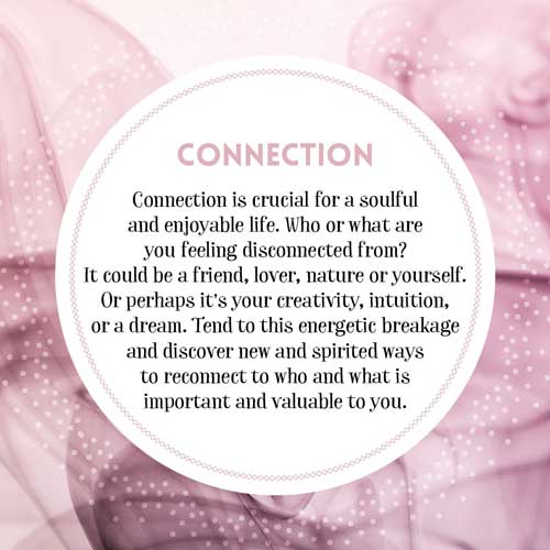 Love and Light Insight Cards image 4