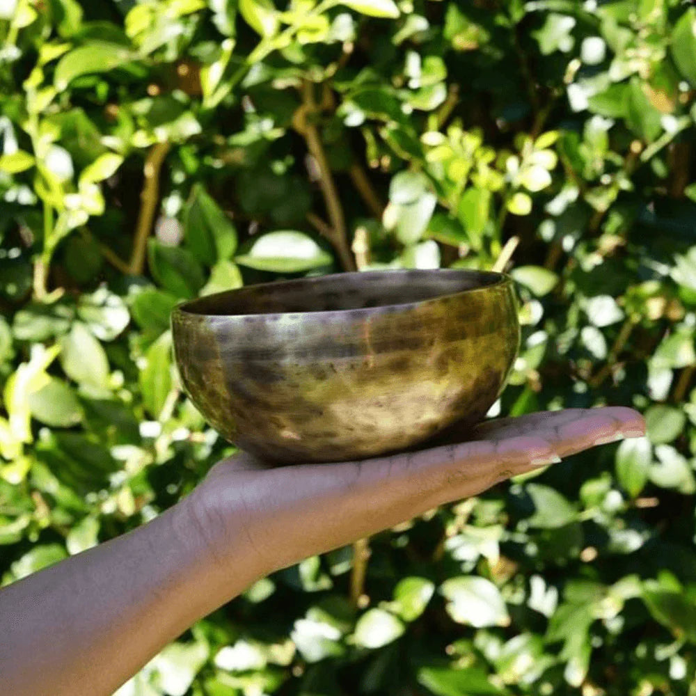 Singing Bowl Note E