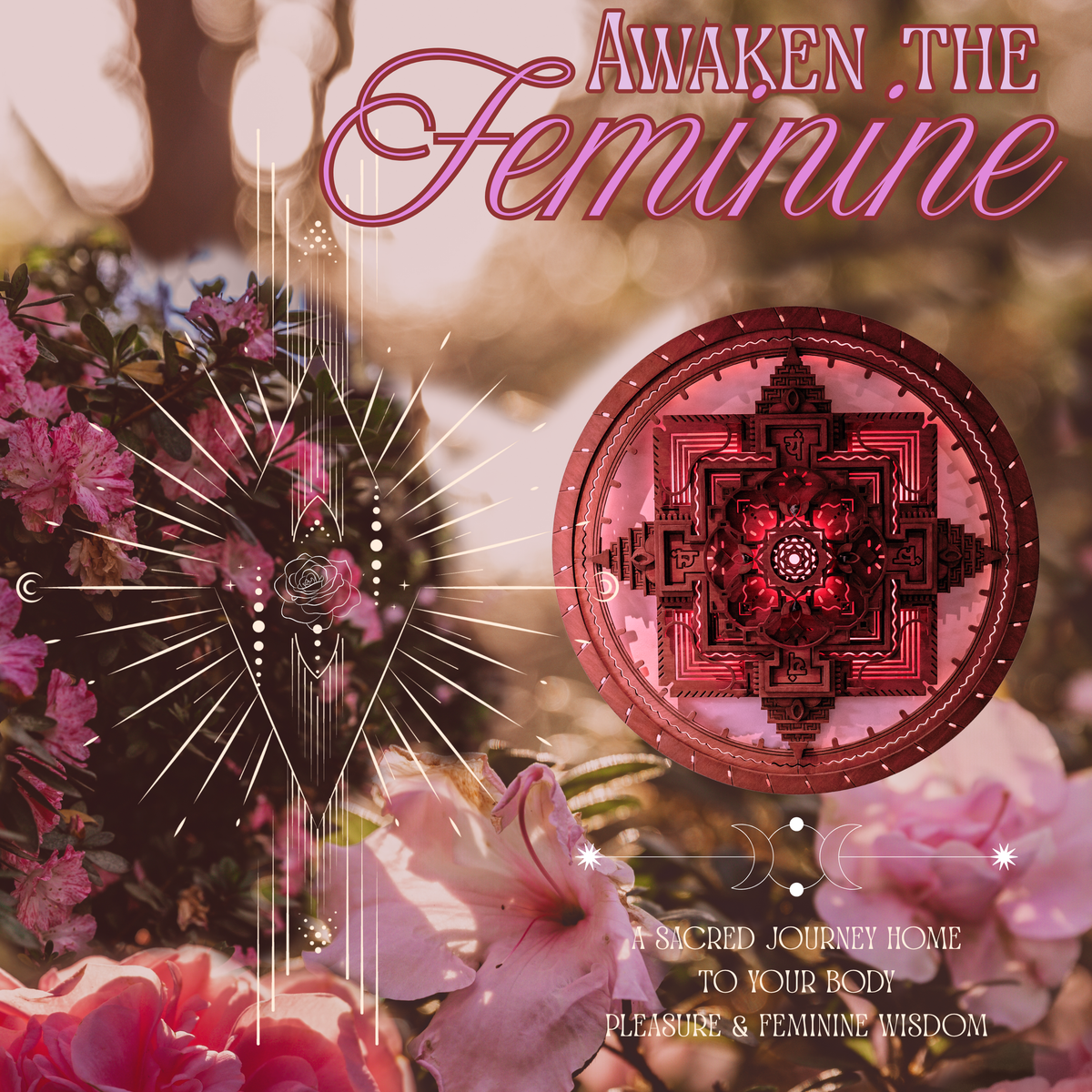 Awaken the Feminine - 21 Nov 2026