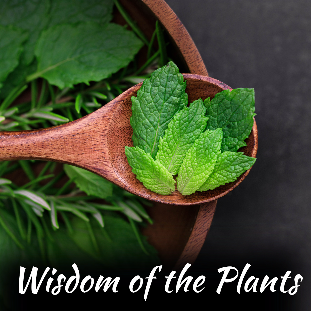 Wisdom of the Plants - 1 Nov 2026