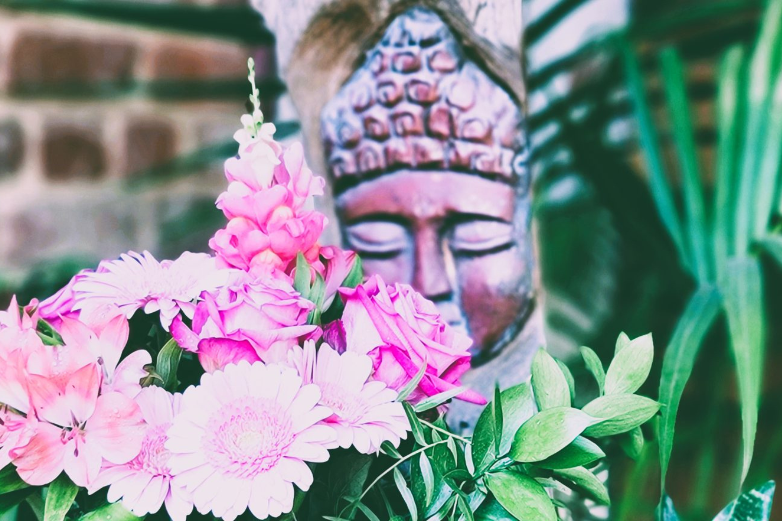 Embracing Grace and Grounding: The Taurus Full Moon at The Sound Temple