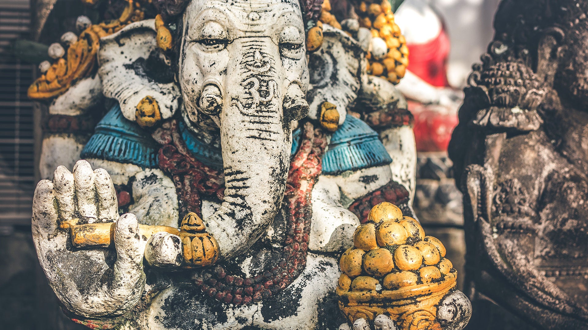 The Super Powers of The Elephant in the Room