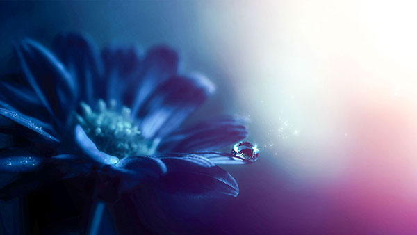 The Power of Consciousness, Matters and Miracles