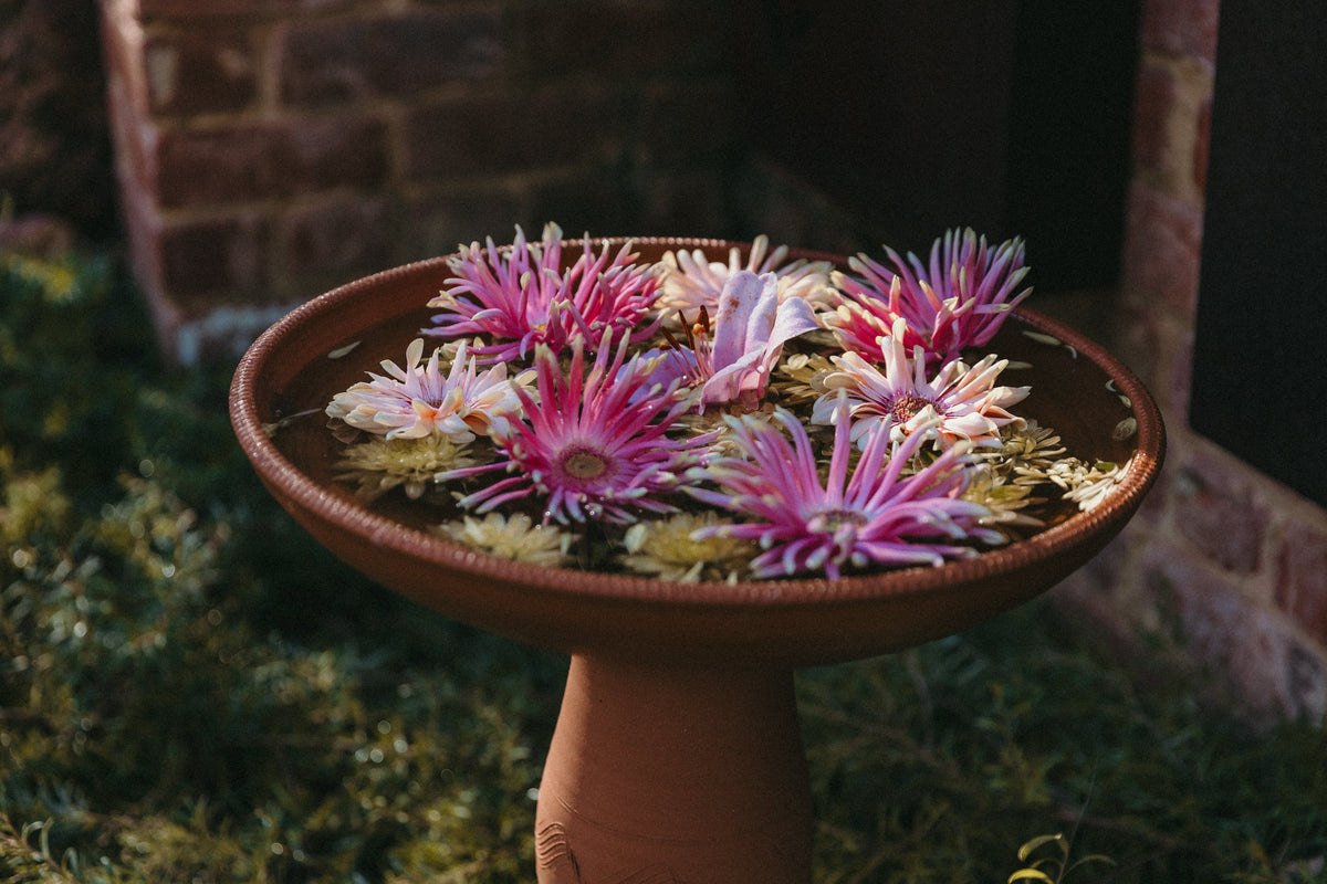 Living With the Seasons: Connecting With Nature in the Perth Hills