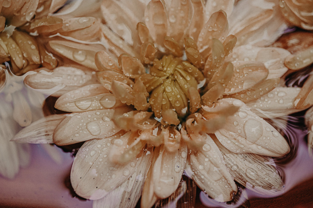 Mantra, Chanting and Toning: Exploring the Power of Your Voice