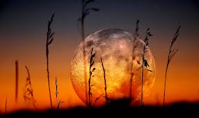 Action. Power. Drive. Time to Move Forward this Aries Full Moon