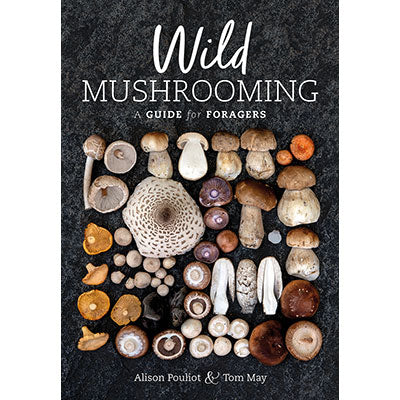 Wild Mushrooming image 0