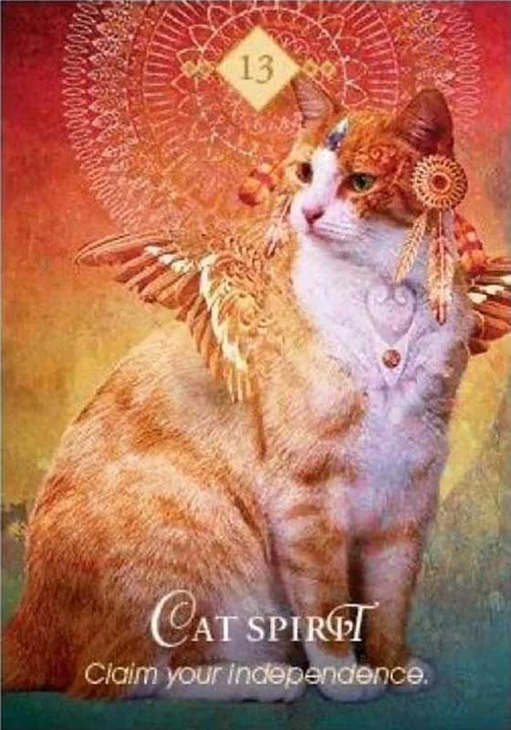 Spirit Animal Oracle image 2