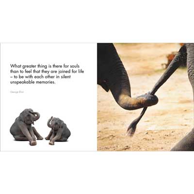 Little Book of Big Love image 1