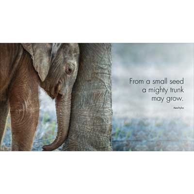 Little Book of Big Love image 2