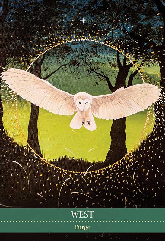 Shamanic Medicine Oracle image 4