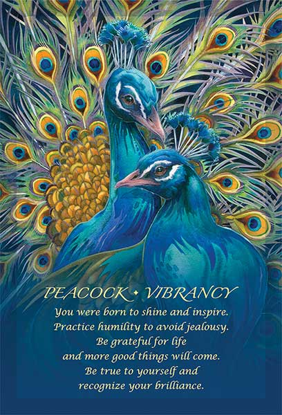 Spirit of the Animals Oracle Deck image 4