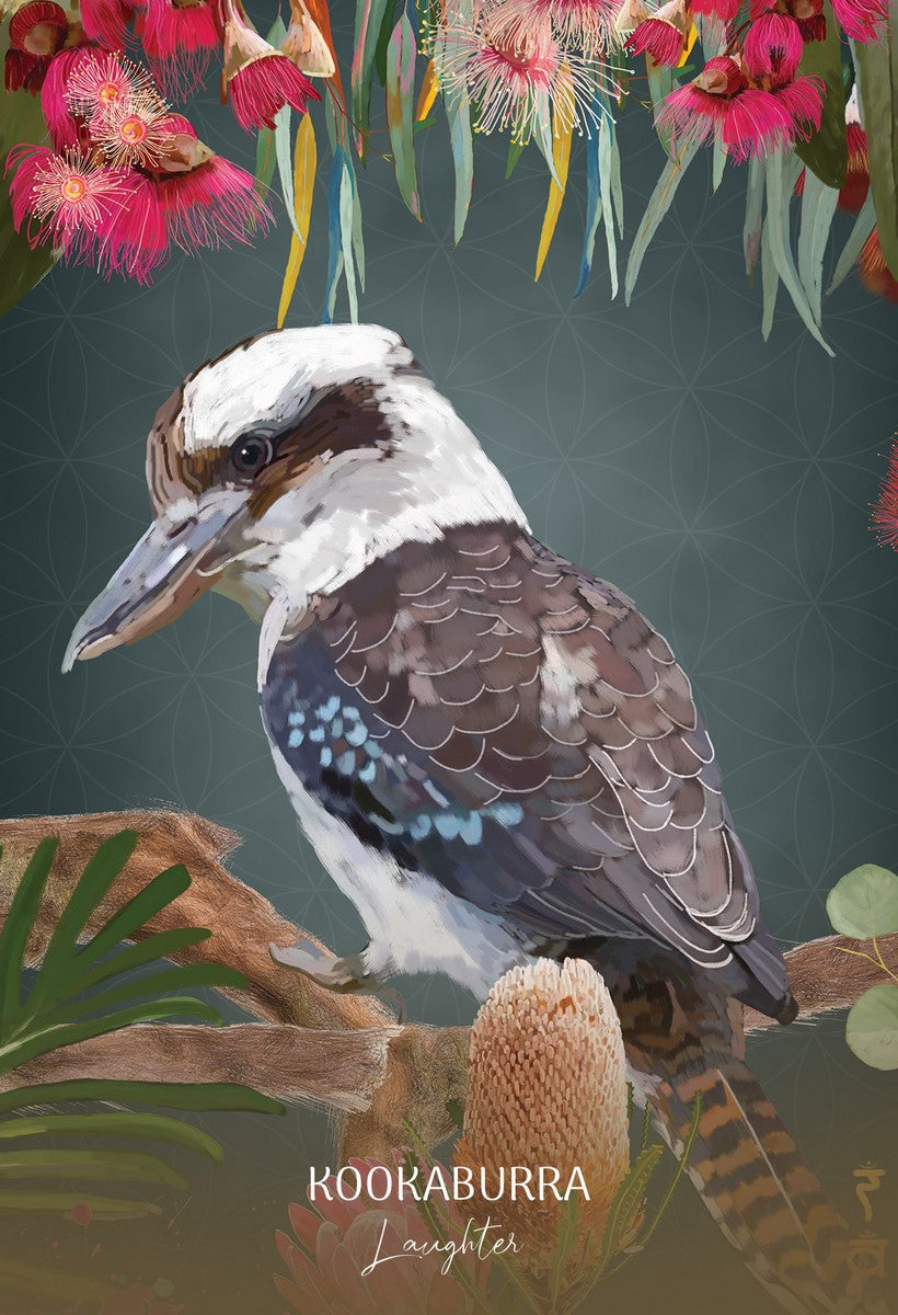 Wild Wisdom Australia image 6