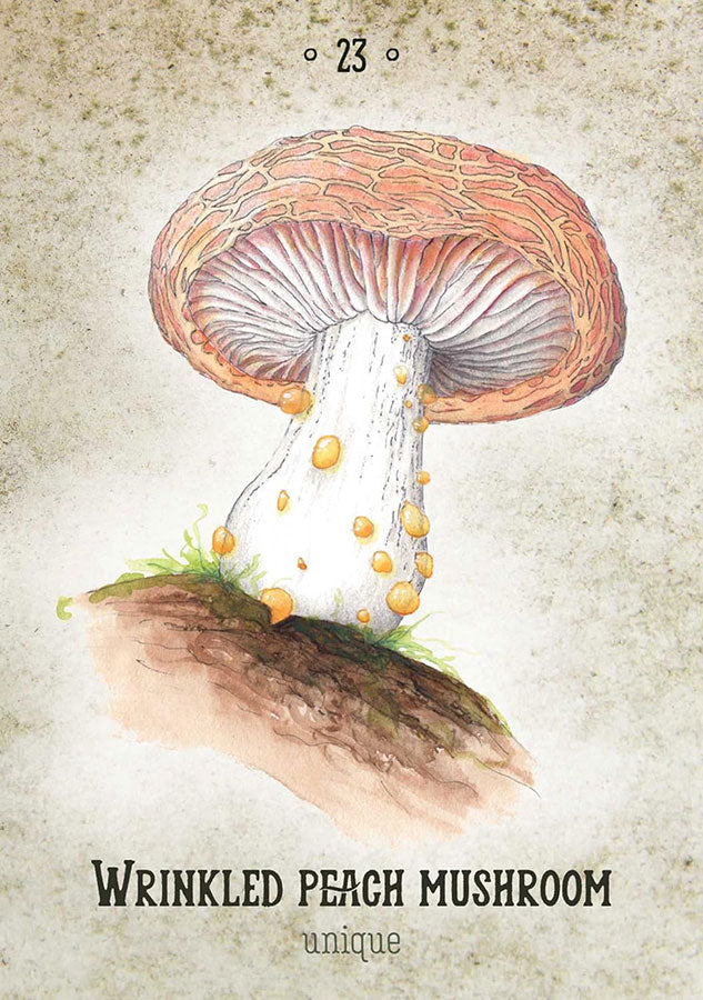 Mushroom Spirit Oracle image 6