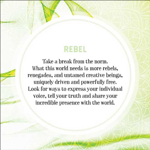 Love and Light Insight Cards image 6