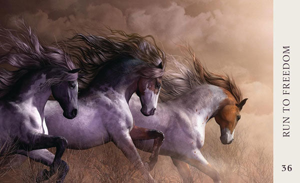 Horse Wisdom Oracle image 4