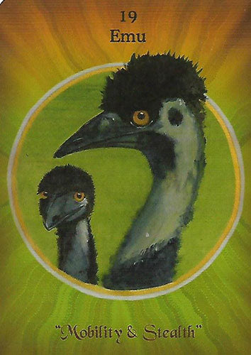 Australian Wildlife Wisdom Set image 3