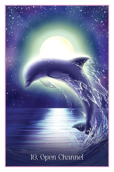 Whispers Of The Dolphin Heart image 4