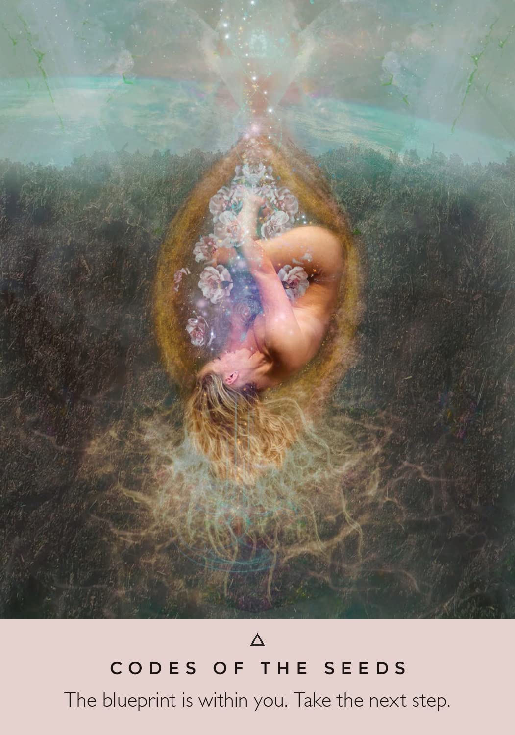 The Rose Oracle image 1