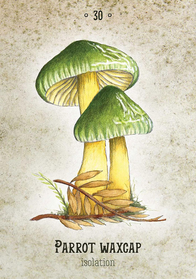 Mushroom Spirit Oracle image 3