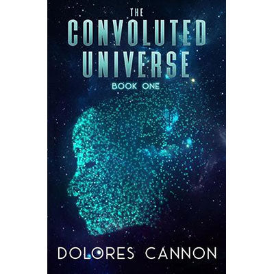Convoluted Universe Book One image 0